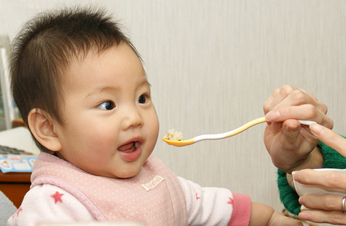 白味噌＿離乳食　山田鶴亀本店